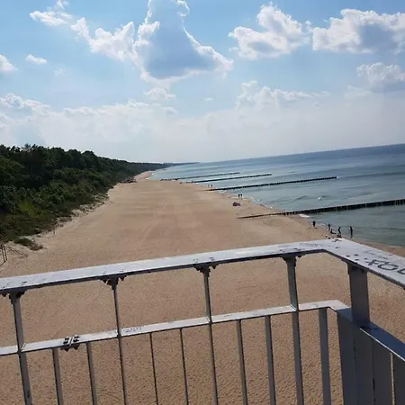 Goscinne U Laury * レバル